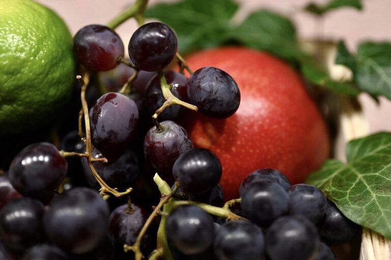 Analyzing the Influence of Food Advertising on Dietary Choices