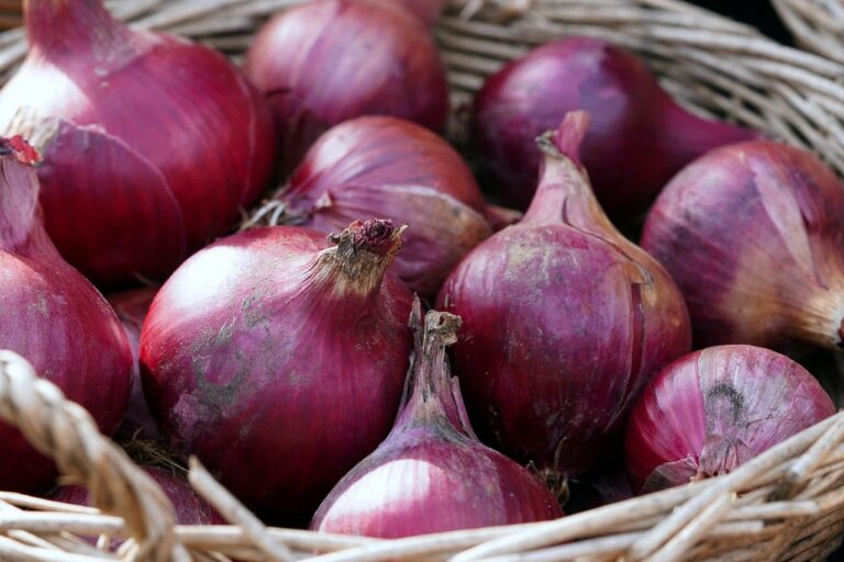 The Role of Food Industry in Combating Malnutrition