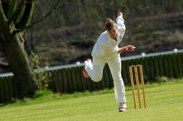 The Role of Online Cricket Games in Promoting Fair Play: Laser247, Gold365, 11xplay