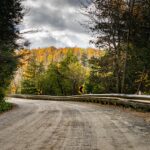 Analyzing the Maintenance Costs of Manual vs. Automatic Transmissions: Betbook247 app, Radhe exchange new id, Play11bet