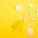 Reddybook Review: How This Innovative Platform Is Transforming Digital Publishing and Boosting 11xplay Integration